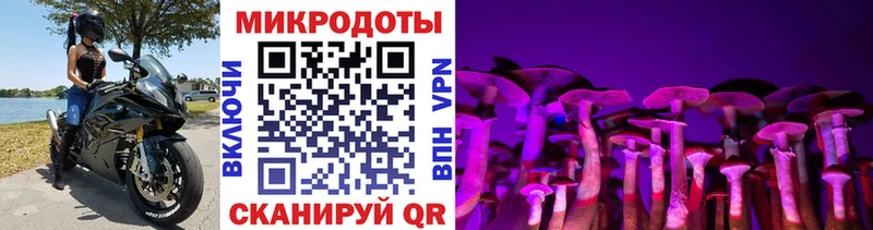блэк спрут как войти  Вязьма  Псилоцибиновые грибы мицелий  закладки 